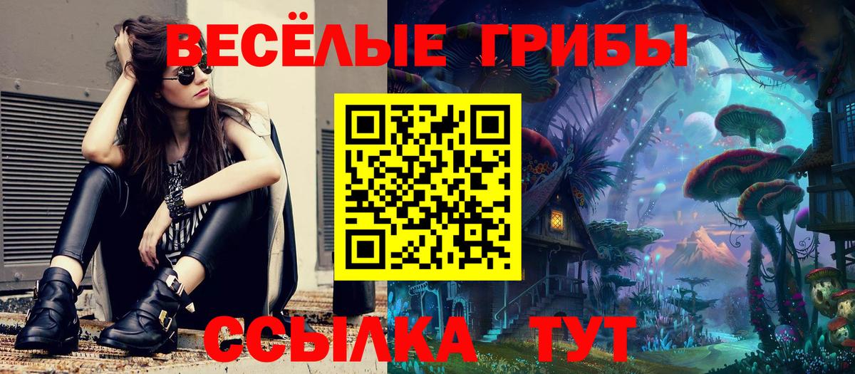 сколько стоит  Вход с VPN  Ноябрьск  Галлюциногенные грибы мухоморы  Псилоцибиновые грибы Magic Shrooms 