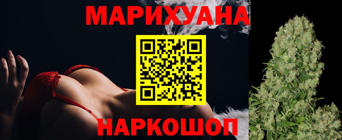 Каннабис сатива Ноябрьск